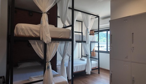 Classic Shared Dormitory, Mixed Dorm, City View