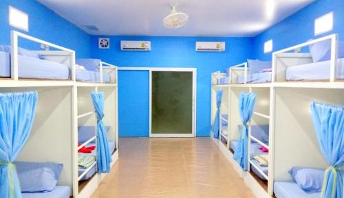 Bunk Bed in Mixed Dormitory Room