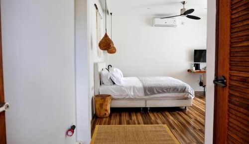 Deluxe King Suite