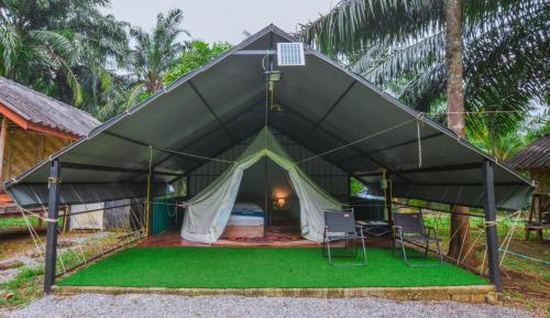 Tent