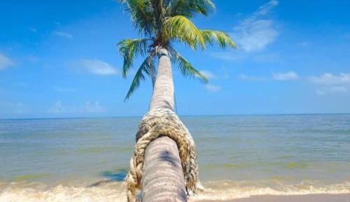 Family Beachfront Villa