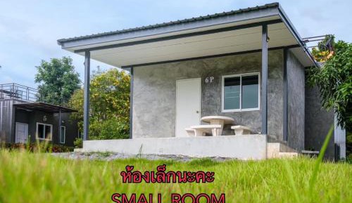 Standard Studio