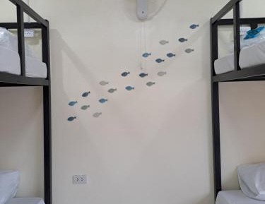 10-Bed Mixed Dormitory Room