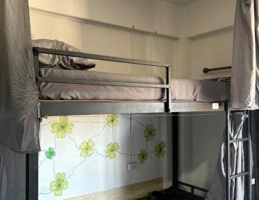 Bunk Bed in Mixed Dormitory Room