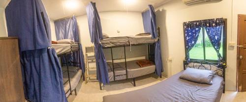 Bunk Bed in Mixed Dormitory Room