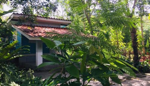 One-Bedroom Cottage