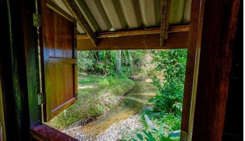 Standard Room with River View