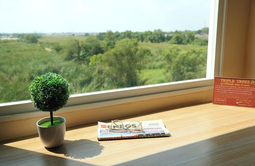 Lat Sawai Hotel | Triple Trees