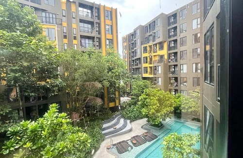 Phuket Apartment | The Base - New Studio Great location, shared Pool