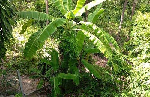 Haad Yao House | Unicorn Cottage, Tracy island, Had Yao Bay