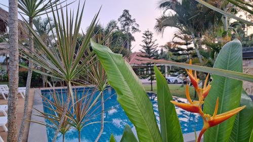 Mae Nam Ski Chalet | Ananda Resort, Villa n 4 in the Thai jungle a Samui