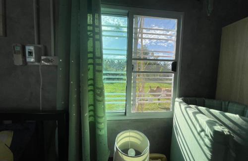 Tha Sala Apartment | กลิ่นแกง หลังมอวลัยลักษณ์ ท่าศาลา