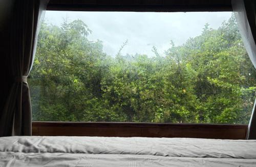 Khuan Ka Long House | บ้านไม้ชายแดนกาแฟสดแอนด์โฮมสเตย์