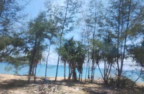 Old Phuket Town Other | EnDanni Space