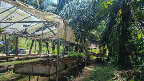 Old Phuket Town Other | EnDanni Space