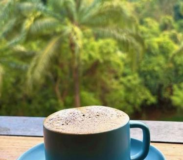 Khlong Sok Other | KhaoSok Malin Glamping