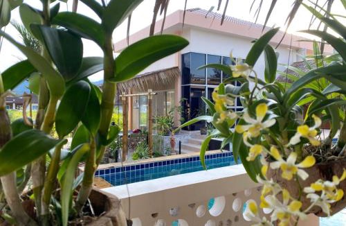 Nong Chaeng Villa | Tom Star Pool Villa Bang Tao