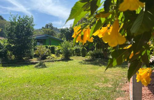 Nuea Khlong House | Kohpu garden