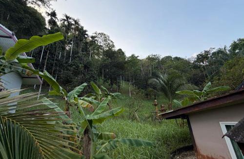 Ranong House | MICKaL