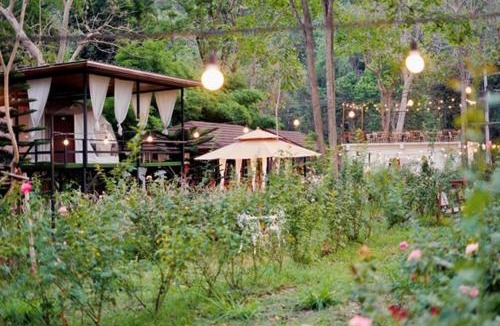 Samut Sakhon Other | The Forest Camp Khaoyai เดอะฟอเรสแคมป์ เขาใหญ่