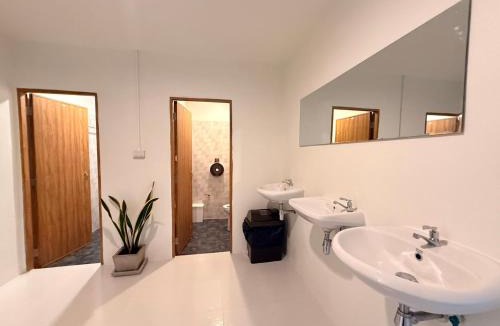 Khlong Sok Hostel | Bingo Hostel Khao Sok