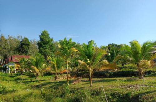Ko Lanta House | Bansuan Lanta Maikaew
