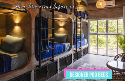 Koh Tao Hostel | Wonderland Jungle Hostel