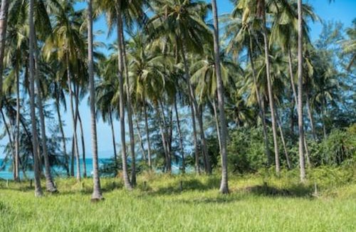 Ang Thong Resort | Green Heaven Bungalows