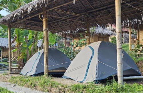 Na Mueang Other | Samui Camping Farm
