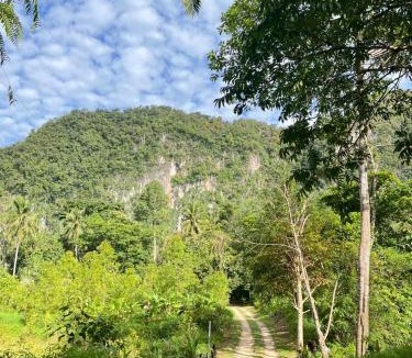 Khlong Sok Bed & Breakfast | Khaosok Mysterious Restaurant and Camp ร้านลึกลับริมคลอง