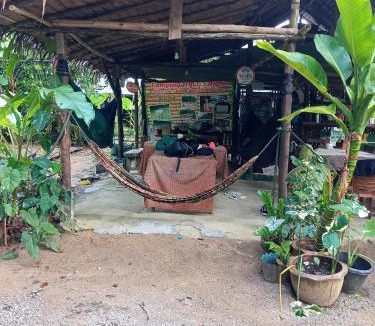 Khlong Sok Other | Khai jungle wassanacamp