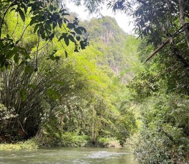 Khlong Sok Bed & Breakfast | Khaosok Mysterious Restaurant and Camp ร้านลึกลับริมคลอง