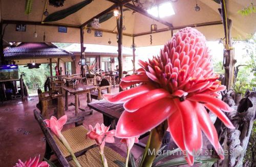 Khlong Sok Resort | Khao Sok Morning Mist Resort