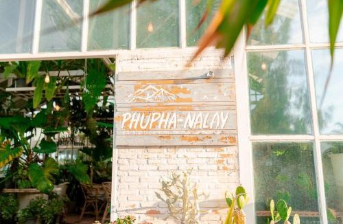 Pak Khlong Resort | ภูผาหน้าเล PhuPha-NaLay Cafe'n Camping