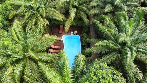 Khlong Sok Resort | Khaosok Good view Resort - SHA PLUS
