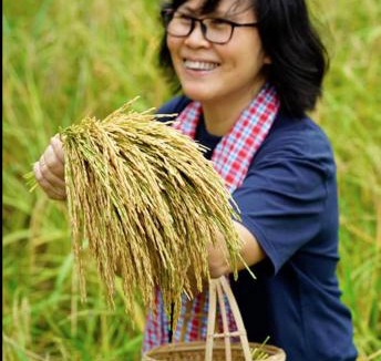 Wichit Resort | Phuket Nonnita Boutique Resort & Organic Farm