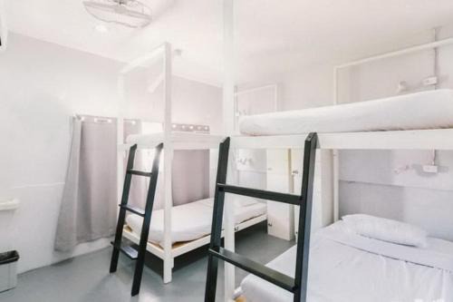 The Meadow Hostel