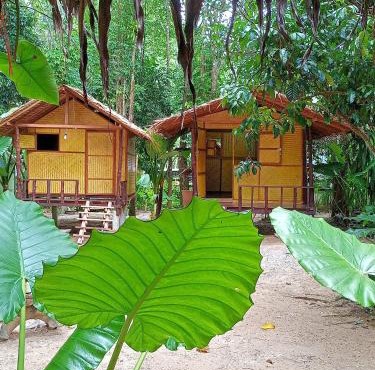 Khai jungle wassanacamp