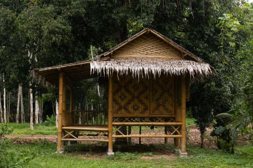 Gaarawe, Khao Sok, Surat Thani Province, Thailande