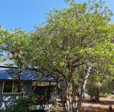 Phayam Cottage Resort